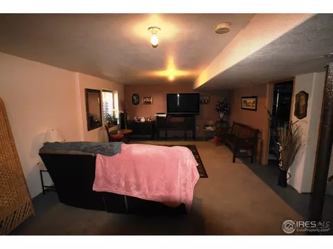 1201 E 96th Pl, Thornton, CO 80229 photo 11