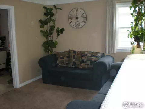 4970 Elm Ct, Denver, CO 80221 photo 4