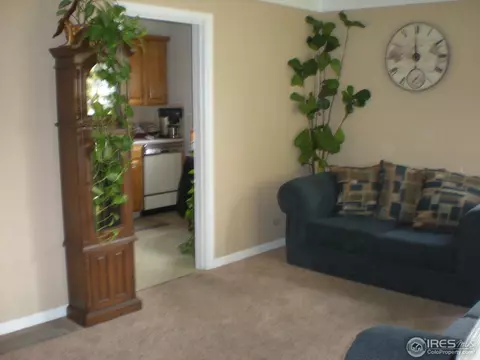 4970 Elm Ct, Denver, CO 80221 photo 5