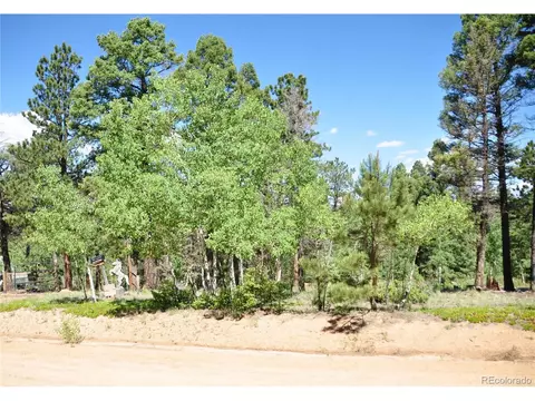 1271 Rangeview Rd, Divide, CO 80814 photo 26