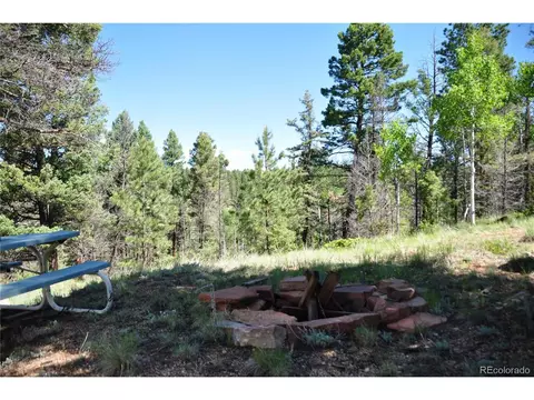 1271 Rangeview Rd, Divide, CO 80814 photo 13