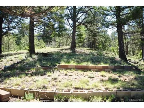 1271 Rangeview Rd, Divide, CO 80814 photo 12