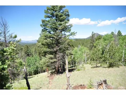 1271 Rangeview Rd, Divide, CO 80814 photo 16