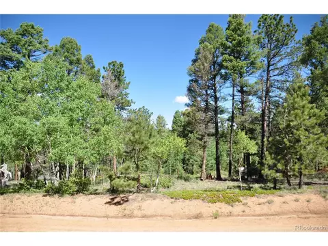 1271 Rangeview Rd, Divide, CO 80814