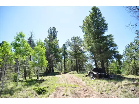 1271 Rangeview Rd, Divide, CO 80814 photo 20