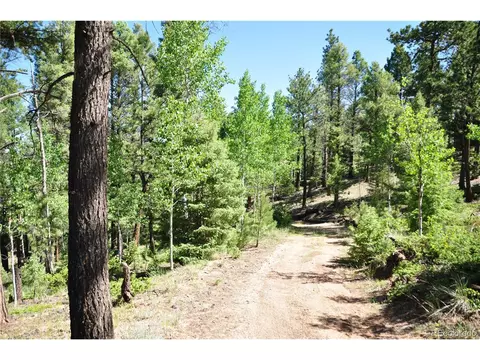 1271 Rangeview Rd, Divide, CO 80814 photo 10