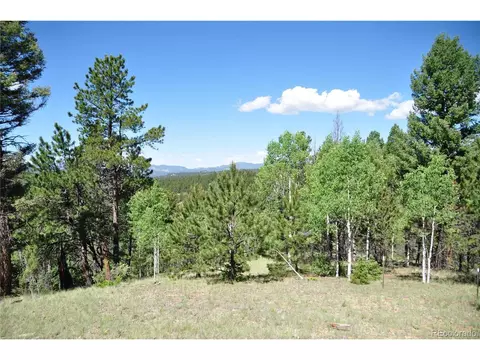 1271 Rangeview Rd, Divide, CO 80814 photo 14