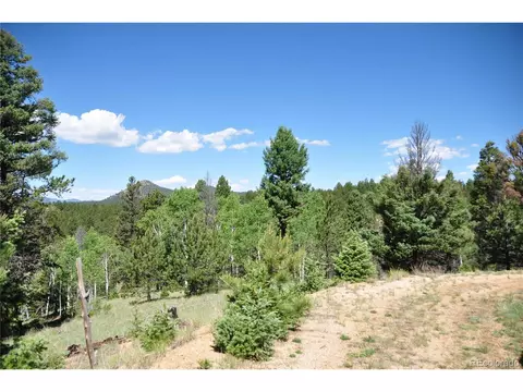1271 Rangeview Rd, Divide, CO 80814 photo 18