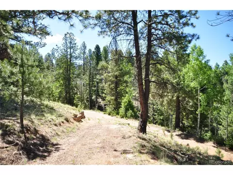 1271 Rangeview Rd, Divide, CO 80814 photo 23