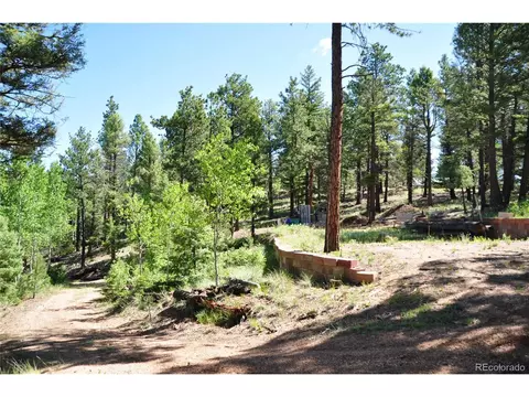 1271 Rangeview Rd, Divide, CO 80814 photo 9