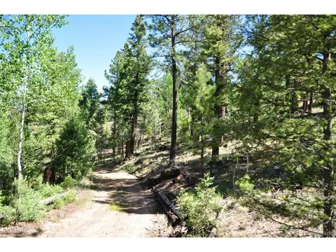 1271 Rangeview Rd, Divide, CO 80814 photo 3