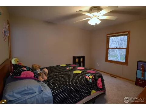 604 Bristlecone Ct, Berthoud, CO 80513 photo 14