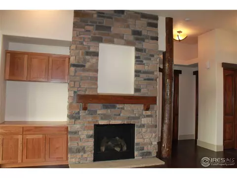 6742 Murano Ct, Windsor, CO 80550 photo 18