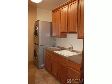 6742 Murano Ct, Windsor, CO 80550 photo 9