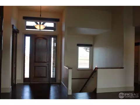 6742 Murano Ct, Windsor, CO 80550 photo 16