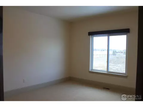 6742 Murano Ct, Windsor, CO 80550 photo 4