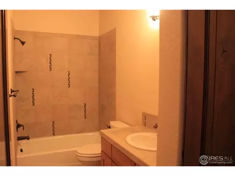 6742 Murano Ct, Windsor, CO 80550 photo 3