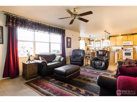 6993 E 131st Dr, Thornton, CO 80602 photo 9