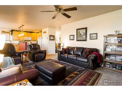 6993 E 131st Dr, Thornton, CO 80602 photo 18