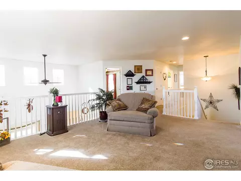 6993 E 131st Dr, Thornton, CO 80602 photo 20