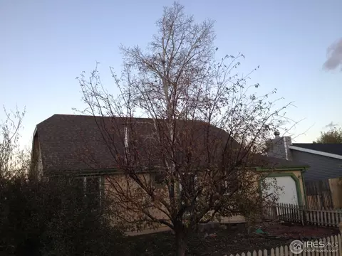 817 Columbine Dr, Windsor, CO 80550 photo 3