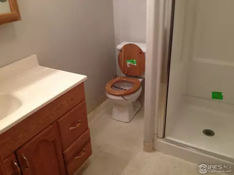 817 Columbine Dr, Windsor, CO 80550 photo 9