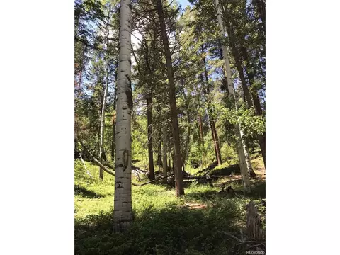 0 Talus Cir, Black Hawk, CO 80422 photo 14
