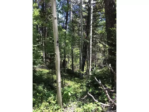 0 Talus Cir, Black Hawk, CO 80422 photo 21