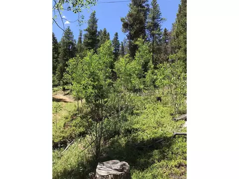 0 Talus Cir, Black Hawk, CO 80422 photo 19