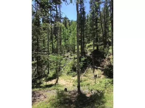 0 Talus Cir, Black Hawk, CO 80422 photo 16