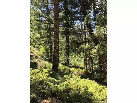 0 Talus Cir, Black Hawk, CO 80422 photo 23