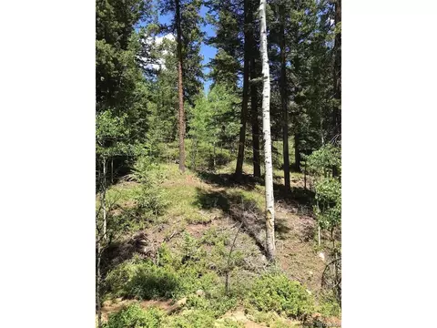 0 Talus Cir, Black Hawk, CO 80422 photo 7