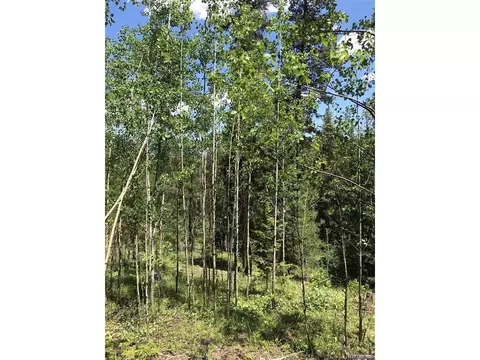 0 Talus Cir, Black Hawk, CO 80422 photo 22