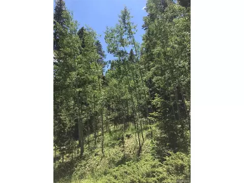 0 Talus Cir, Black Hawk, CO 80422 photo 8