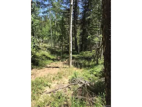 0 Talus Cir, Black Hawk, CO 80422 photo 13