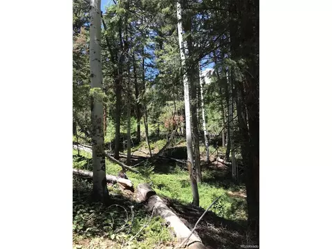 0 Talus Cir, Black Hawk, CO 80422 photo 10