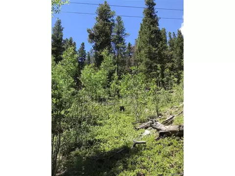 0 Talus Cir, Black Hawk, CO 80422 photo 18