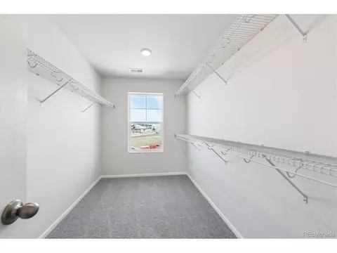 1312 Sienna Peak Cir, Erie, CO 80516 photo 16