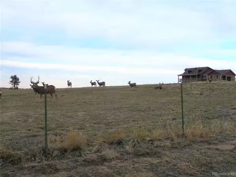 9202 Apache Rd, Parker, CO 80138 photo 33