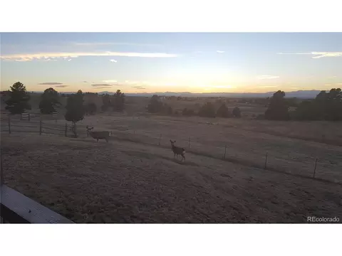 9202 Apache Rd, Parker, CO 80138 photo 34