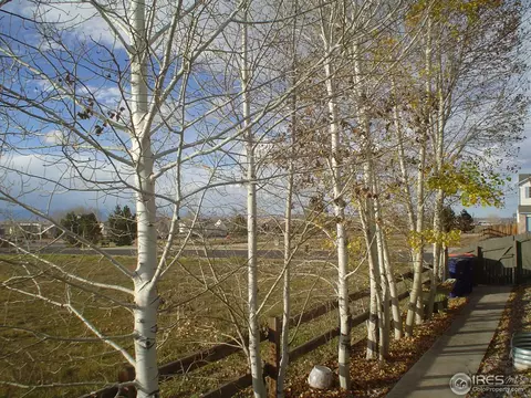 5400 Fox Run Blvd, Frederick, CO 80504 photo 17