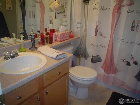5400 Fox Run Blvd, Frederick, CO 80504 photo 7