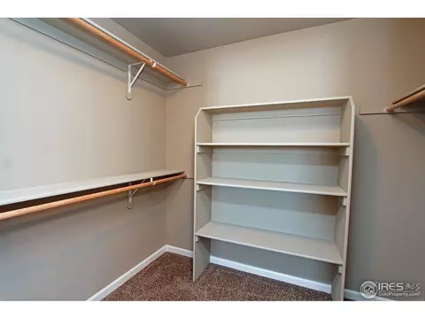 305 Audubon Blvd, Severance, CO 80546 photo 10