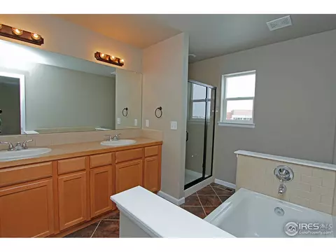 305 Audubon Blvd, Severance, CO 80546 photo 9
