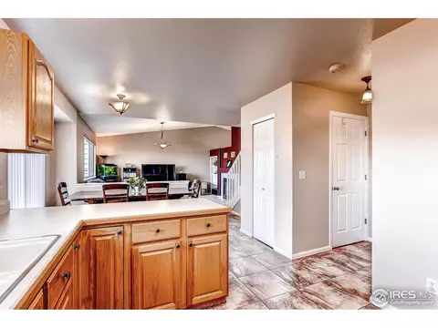 19387 E 41st Pl, Denver, CO 80249 photo 9