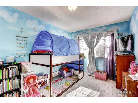 19387 E 41st Pl, Denver, CO 80249 photo 17