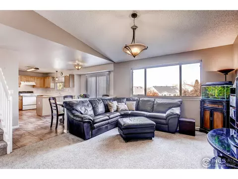 19387 E 41st Pl, Denver, CO 80249 photo 13