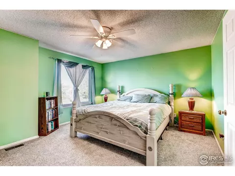 19387 E 41st Pl, Denver, CO 80249 photo 14