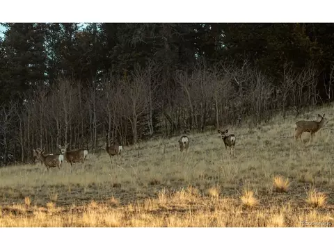 821 Warpath Rd, Como, CO 80432 photo 10