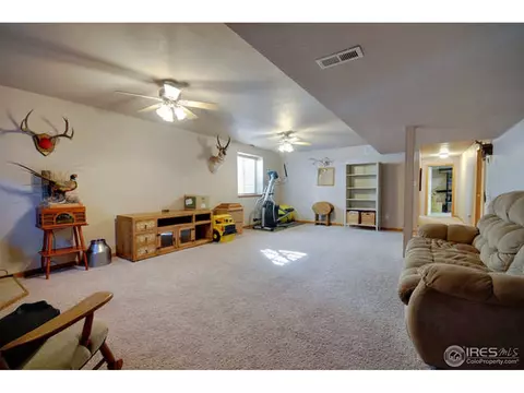 313 Marble Ct, Windsor, CO 80550 photo 12